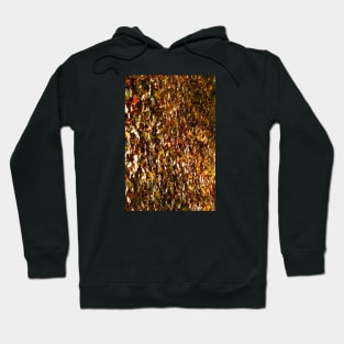 Autumn Leaves Fallen On To Forest Surface Hoodie